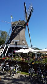 Terschelling (46)