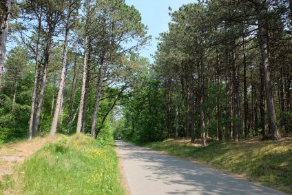 Terschelling (9)
